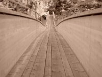 DSCF1269