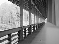 DSCF2577