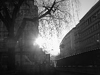 DSCF9373-Pano