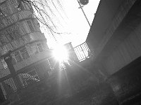 DSCF9396