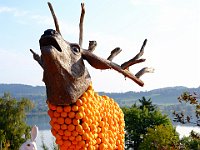 DSCF4603