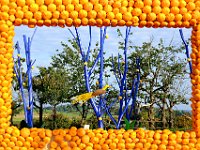 DSCF4615