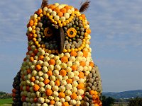 DSCF4624