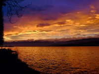 DSCF3198-Pano