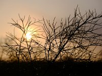 DSCF5123