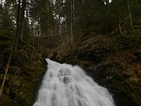N71 3697