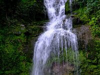 DSCF0129
