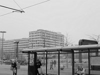 DSCF7597