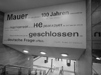 DSCF7679