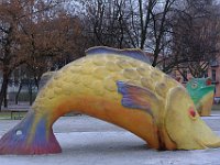 DSCF7737