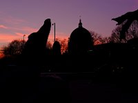 DSCF8985
