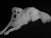DSCF2023-2