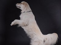 DSCF2041