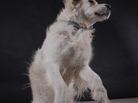 DSCF2047