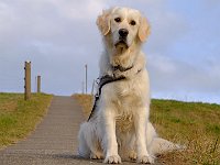 DSCF2117-2